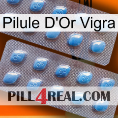 Vigra Gold Pill viagra4